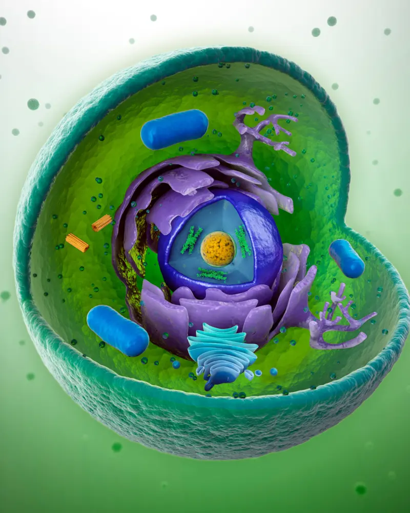 Imagen del curso Biología Celular de Bioeasy Galenos