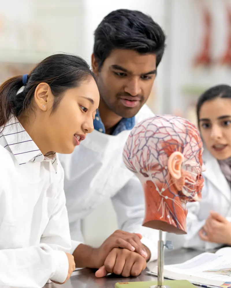 Imagen del curso Casos Integradores I de Bioeasy Galenos
