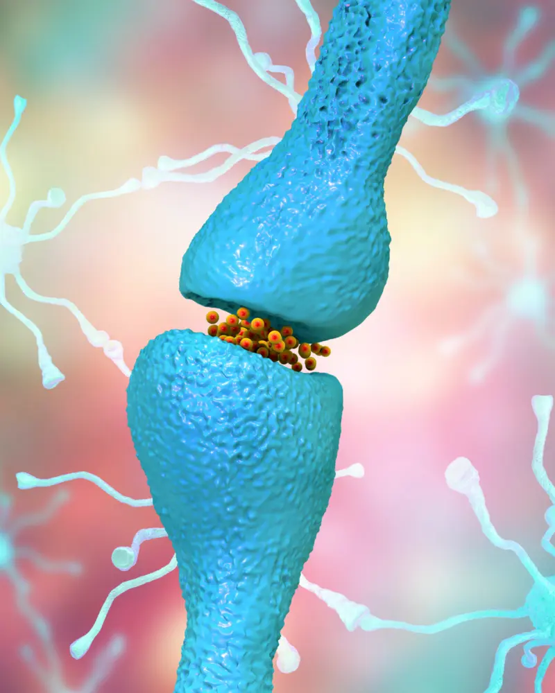 Imagen del curso Morfofisiología I de Bioeasy Galenos